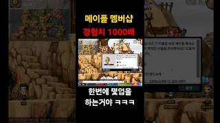 경험치 1000배 서버에서 멤버샵 퀘스트를 깻더니 ㅋㅋㅋ 빅뱅전옛날메이플 메이플월드 [upl. by Groscr]