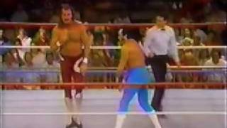 honky tonk man vs jake roberts wwf 87 [upl. by Ycinuq]