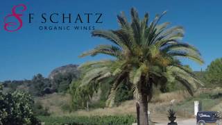 Bodegas F Schatz Serrania de Ronda Málaga Spain VINEYARDS AND DRONE 4K [upl. by Aynik]