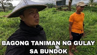 New Project namin ni tatayMalawak na taniman ng gulay sa BundokDagdag trabaho sa mga kababata [upl. by Aneehsram]