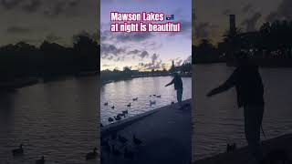 Mawson Lakes at night is very so beautiful suburb of south Adelaideenjoy and relax with families [upl. by Ybreh]