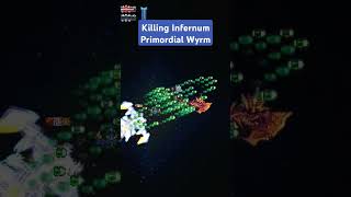 Killing Primordial Wyrm in Infernum terraria gaming calamity infernum [upl. by Ellissa]