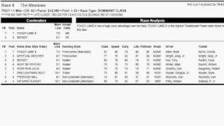 FAST Harness Handicapping  Running StylesRace Types [upl. by Spillihp]