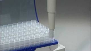 How to use the Forward Pipetting technique with Eppendorf Reference® mechanical pipettes [upl. by Ennayr621]