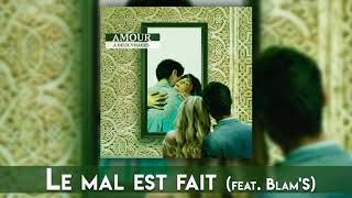 Douki Ft BlamS  Le mal est fait Audio Officiel [upl. by Atsirtal]