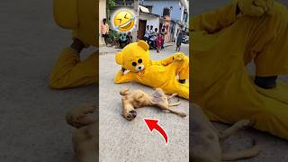 Teddy 🧸with Dog🐕🤣……funnyshorts comedy teddybear [upl. by Nohtahoj]