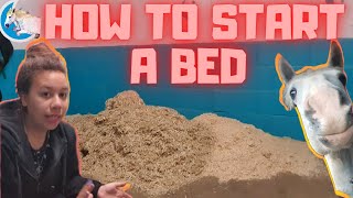 How To Start A New Bed For Horses Moon Equestrian [upl. by Namaan]