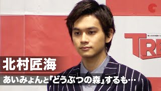 北村匠海、あいみょんと“どうぶつの森”をプレイ「雑草だらけ…」日経トレンディ「2020ヒット商品ベスト30」「2021年ヒット予測30」先行発表会 [upl. by Priebe407]