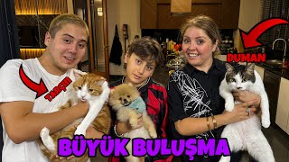 CİROYU KEDİLERİMİZLE BULUŞTURDUK  BÜYÜK BULUŞMA [upl. by Madel]