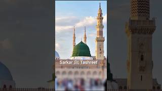 Sarkar ﷺ Tashreef Laaye naat voice Farhan Ali viralvideo SSⓂ️ [upl. by Arua]