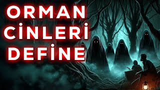 Ormandaki Defineyi Açan Definecilerin Yaşadığı Korkunç Olaylar  Korku Hikayeleri  Paranormal [upl. by Osnofledi]