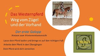 Der erste Galopp  Weg vom Zügel und der Vorhand [upl. by Mchale]