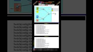 VLAN Configuration networking ccna vlan education ai chatgpt networksecurity cisco [upl. by Sivam704]