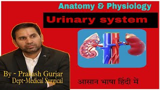 Function of kidney overview of renal function part 2 [upl. by Denzil242]