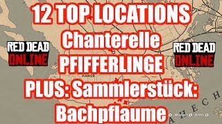 12 TOP Locations Chanterelle Pfifferlinge Red Dead Redemption 2 Online [upl. by Nnylatsirk924]