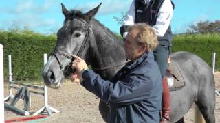 William Funnell  Tack for training a young horse  HorseandRider UK [upl. by Roleat]