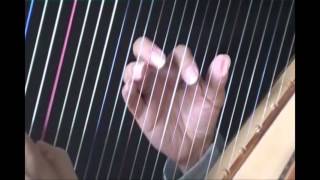 how to play the Harp  clases de Arpa  mis noches sin ti [upl. by Severn731]