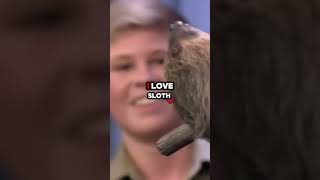 Jimmy Fallon amp Robert Irwin Meet Valentino the Baby Sloth Pure Cuteness 🦥❤️ funny [upl. by Lednahs412]