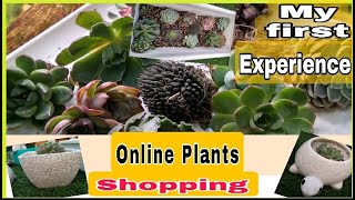 Succulent Plants Online Shopping From Darjeeling  Combo Of 20  Unboxing video [upl. by Eugenia768]