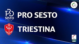 Pro Sesto  Triestina 01  Gli Highlights [upl. by Ybroc]