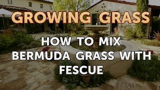 How to Mix Bermuda Grass With Fescue [upl. by Wilfrid]