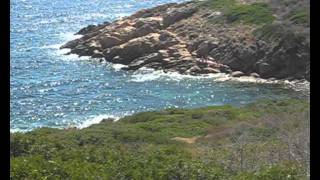 ISOLA DEL GIGLIO  SPIAGGE SENTIERI E PAESAGGI [upl. by Zacherie]