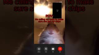 Hamster Calling Meme [upl. by Gerti]