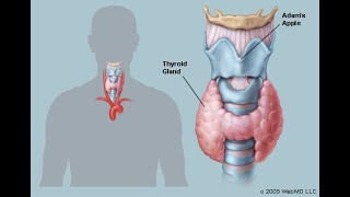 Lecture 3  Medicinal Chemistry 2  Antithyroid amp Introduction to steroids [upl. by Bigot]