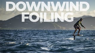 How to Downwind SUP foil [upl. by Corly]