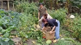 Full video part 7 Gardening and welcoming girls to buy vegetables Robert  Green forest life [upl. by Lolly]