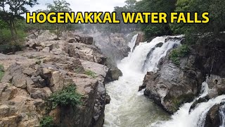 Hogenakkal Falls l Indias Niagara Falls l ஒகேனக்கல் நீர்வீழ்ச்சி l மீன் வறுவல் [upl. by Los755]