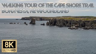 Walking Tour of the Cape Shore Trail in Bonavista Newfoundland adventureschmuck walkingtour [upl. by Nylyram]