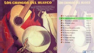 Los Changos del Huayco 1976Álbum Completo [upl. by Thornburg109]