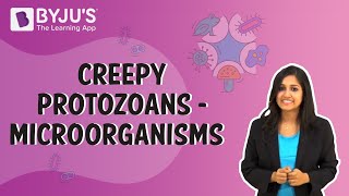 Microorganisms 04  Creepy Protozoans [upl. by Ogdan]