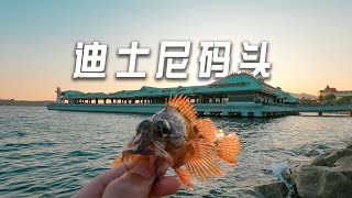 香港路亞迪士尼碼頭釣石狗公釣組分享 [upl. by Onairda662]