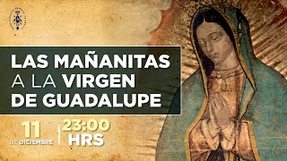 Mañanitas de la Virgen de Guadalupe 2022 Gracias Virgencita [upl. by Stavros]