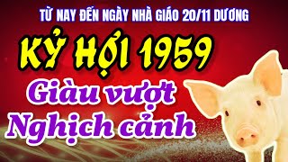 Kỷ Hợi 1959 đại phú đại quý bất chấp khó khăn vẫn ôm đống tiền từ nay đến ngày nhà giáo 2011 dương [upl. by Rip]