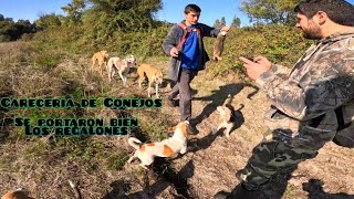 CACERÍA DE CONEJOS  🐇 🐕 CONEJEADAS 2024 rabbit hunting with dogs [upl. by Mauchi]