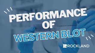 Performance of a Western Blot [upl. by Astera113]