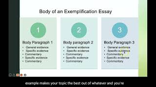 Exemplification Essay Lecture [upl. by Ayotnahs968]