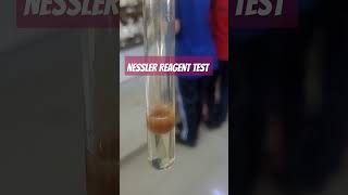 TEST FOR ZERO GROUP WITH NESSLER REAGENT nesslerreagent testforzerogroup chemistrylaboratory [upl. by Laon349]