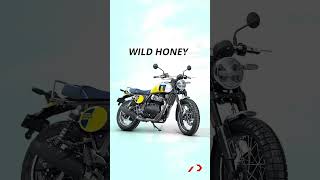 The Royal Enfield Interceptor Bear 650 gets 5 colour options Which one would you like Shorts [upl. by Pirali]