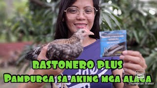 PURGA GAMIT ANG BASTONERO PLUS [upl. by Oznarol744]