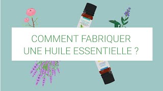 Comment fabriquer une huile essentielle [upl. by Valera707]