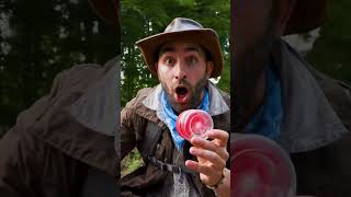 La terribile puntura del calabrone gigante Quanto dolore 😱 coyotepeterson shorts [upl. by Evers]