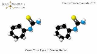 PTC taste test chemical structure [upl. by Cash708]