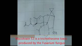 Mycotoxin T2 [upl. by Torruella]