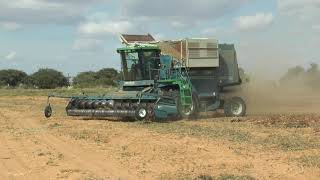 Amadas 9900 CDS harvesting peanuts in South Africa [upl. by Adnov]