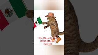 soy mexicano esa es mi bandera lovegatos hermoso soymexicano [upl. by Ihc]