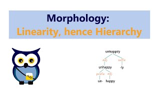 Morphology Linearity hence Hierarchy [upl. by Philemon]